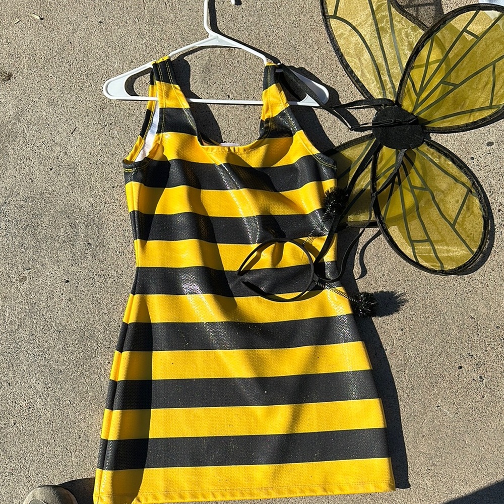 Yellow and Black Striped Dress with Wings